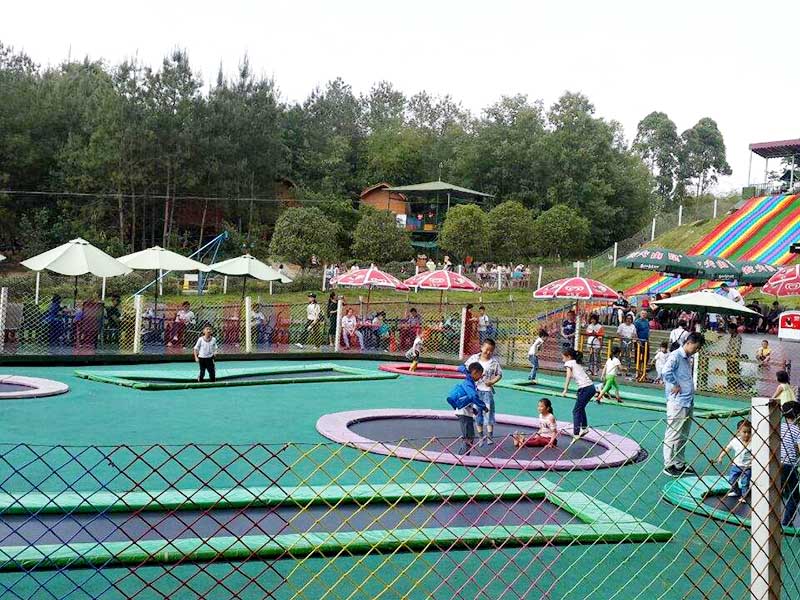 森林主题体育公园